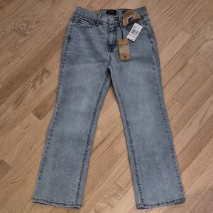 Light Blue Straight Leg Jeans - Curve